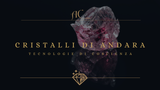 CRISTALLI DI ANDARA : quando un cristallo non è più un cristallo ma una tecnologia di coscienza